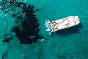 Ibiza: dagcruise naar Formentera met paella, barbecue en open bar