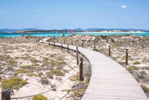 Ibiza: dagcruise naar Formentera met paella, barbecue en open bar