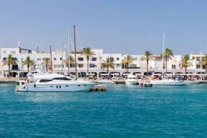 Ibiza: dagcruise naar Formentera met paella, barbecue en open bar