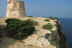 Ibiza: dagcruise naar Formentera met paella, barbecue en open bar