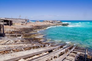 Ibiza: dagcruise naar Formentera met paella, barbecue en open bar