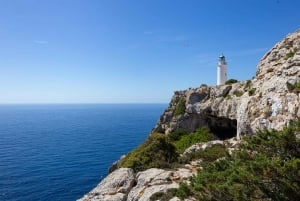 Ibiza: dagcruise naar Formentera met paella, barbecue en open bar
