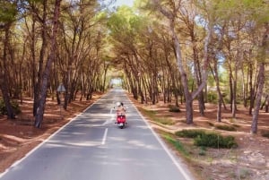 Ibiza: dagcruise naar Formentera met paella, barbecue en open bar