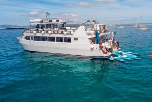 Ibiza: dagcruise naar Formentera met paella, barbecue en open bar