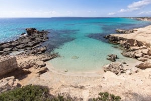 Ibiza: dagcruise naar Formentera met paella, barbecue en open bar
