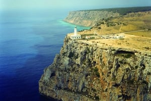 Ibiza: dagcruise naar Formentera met paella, barbecue en open bar