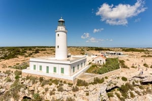 Ibiza: dagcruise naar Formentera met paella, barbecue en open bar