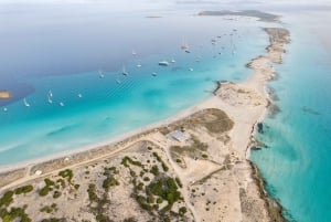 Ibiza: dagcruise naar Formentera met paella, barbecue en open bar