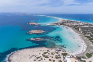 Ibiza: dagcruise naar Formentera met paella, barbecue en open bar