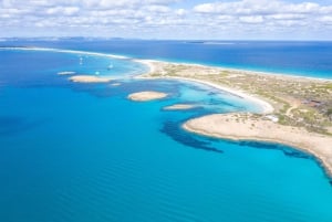 Ibiza: dagcruise naar Formentera met paella, barbecue en open bar