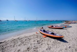 Ibiza: dagcruise naar Formentera met paella, barbecue en open bar