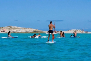 Ibiza: dagcruise naar Formentera met paella, barbecue en open bar