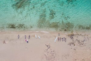 Ibiza: dagcruise naar Formentera met paella, barbecue en open bar