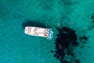 Ibiza: dagcruise naar Formentera met paella, barbecue en open bar