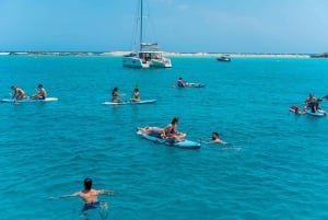 Ibiza: dagcruise naar Formentera met paella, barbecue en open bar