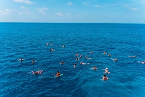 Ibiza: dagcruise naar Formentera met paella, barbecue en open bar