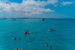 Ibiza: dagcruise naar Formentera met paella, barbecue en open bar