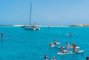 Ibiza: dagcruise naar Formentera met paella, barbecue en open bar