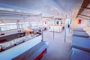 Ibiza: dagcruise naar Formentera met paella, barbecue en open bar