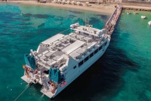 Ibiza: dagcruise naar Formentera met paella, barbecue en open bar