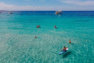 Ibiza: dagcruise naar Formentera met paella, barbecue en open bar