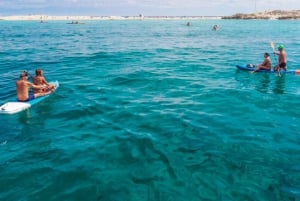 Ibiza: dagcruise naar Formentera met paella, barbecue en open bar
