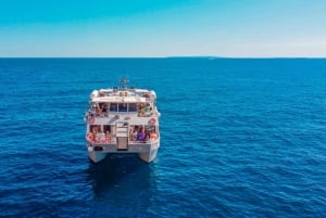 Ibiza: dagcruise naar Formentera met paella, barbecue en open bar