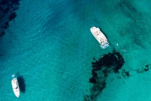 Ibiza: dagcruise naar Formentera met paella, barbecue en open bar