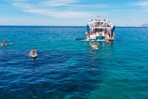 Ibiza: dagcruise naar Formentera met paella, barbecue en open bar