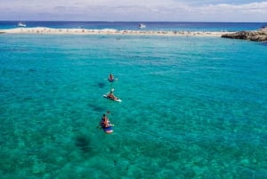Ibiza: dagcruise naar Formentera met paella, barbecue en open bar