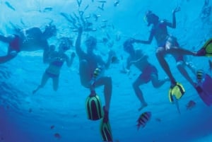 Ibiza: dagcruise naar Formentera met paella, barbecue en open bar