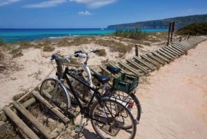 Ibiza: dagcruise naar Formentera met paella, barbecue en open bar