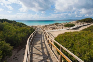 Ibiza: dagcruise naar Formentera met paella, barbecue en open bar