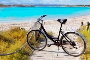 Ibiza: dagcruise naar Formentera met paella, barbecue en open bar