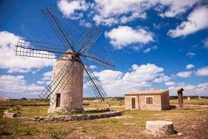 Ibiza: dagcruise naar Formentera met paella, barbecue en open bar