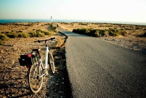 Ibiza: dagcruise naar Formentera met paella, barbecue en open bar