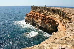 Ibiza: dagcruise naar Formentera met paella, barbecue en open bar