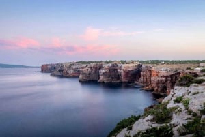 Ibiza: dagcruise naar Formentera met paella, barbecue en open bar