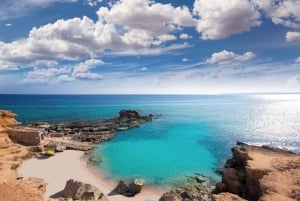 Ibiza: dagcruise naar Formentera met paella, barbecue en open bar