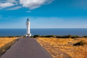 Ibiza: dagcruise naar Formentera met paella, barbecue en open bar