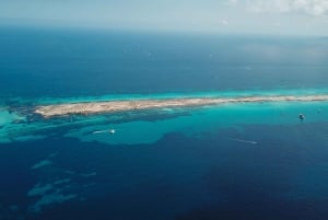 Ibiza: dagcruise naar Formentera met paella, barbecue en open bar