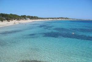Ibiza: całodniowa wycieczka i wizyta na modnym targu