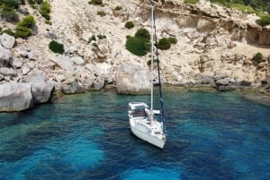 Ibiza: Kokopäivän purjehdusretki Formenteralle w/ Paddle: Koko päivän purjehdusretki Formenteralle w/ Paddle