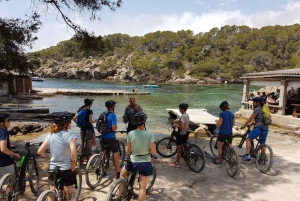 Ibiza: Guided E-Bike Tour