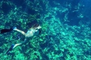 Ibiza: Geführter Schnorchelausflug