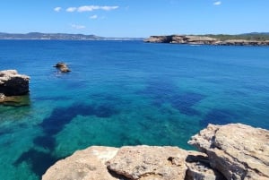 Ibiza: Geführter Schnorchelausflug
