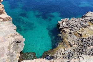 Ibiza: Geführter Schnorchelausflug