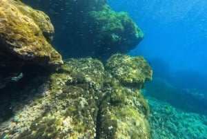 Ibiza: Geführter Schnorchelausflug