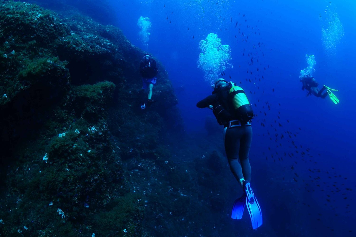 Ibiza: Half-Day Beginners Scuba Dive Program