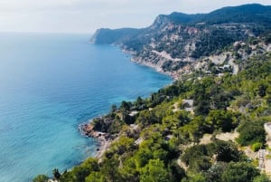 Ibiza: tour de medio día por la isla con lugares emblemáticos para hacer fotos